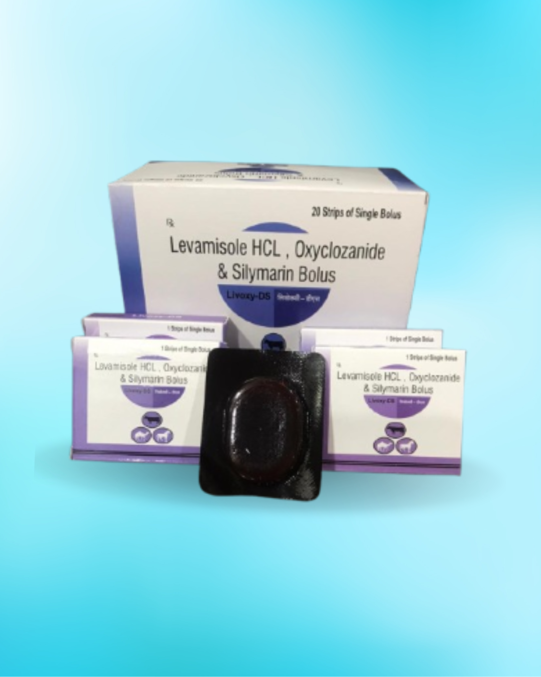 LIVOXY-DS BOLUS 